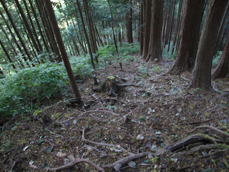 20171026hike (271)